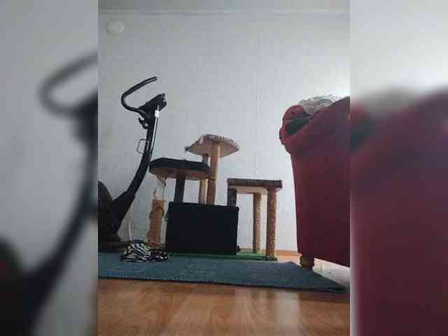 MySky23 webcam