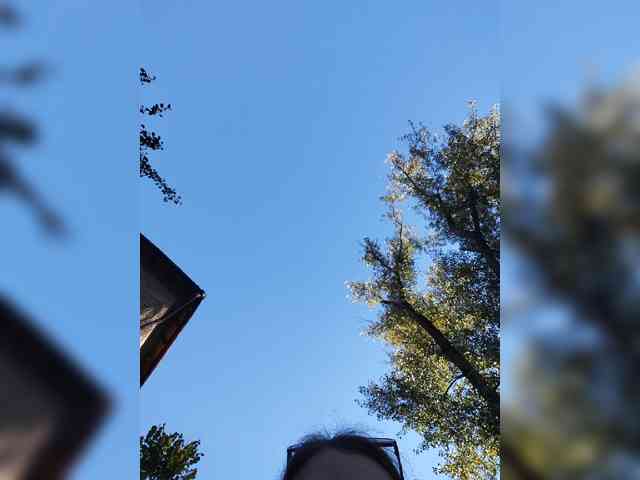 MySky23 webcam