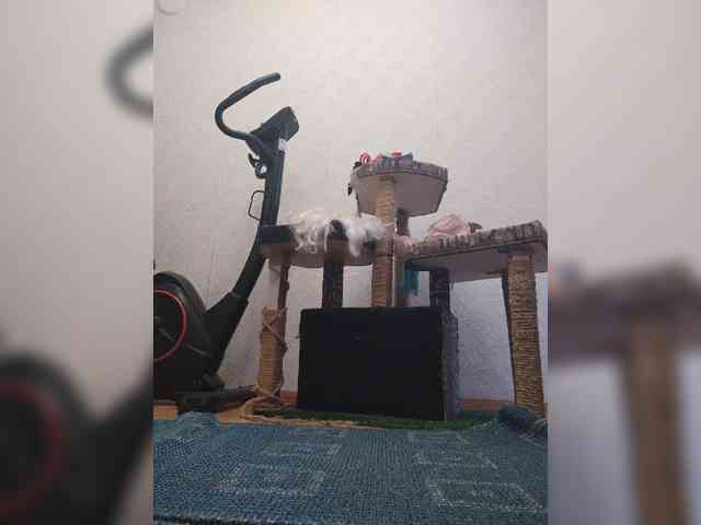 MySky23