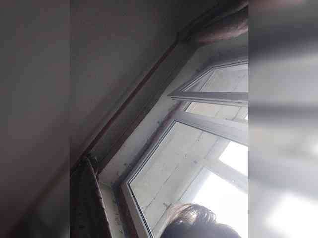 WilbderriesParapapapam webcam