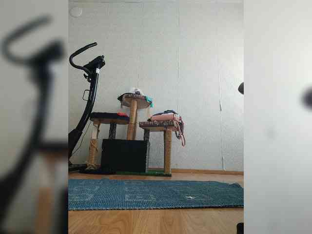 Bavovna23 webcam