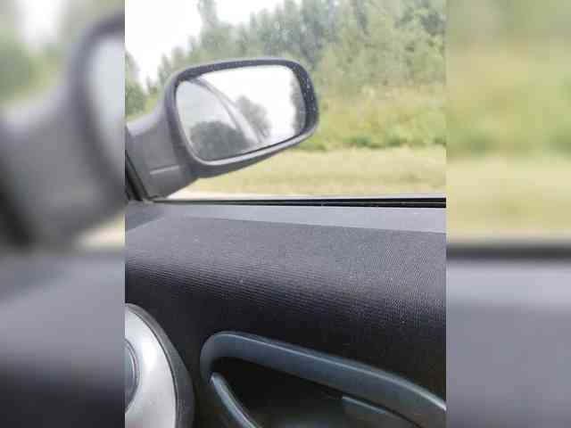 WilbderriesParapapapam webcam