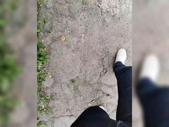 MySky23