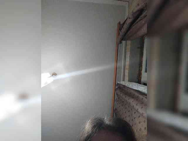 MySky23 MySky23