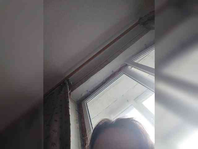 WilbderriesParapapapam webcam