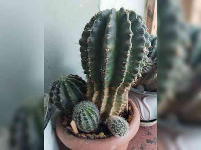 MySky23 MySky23