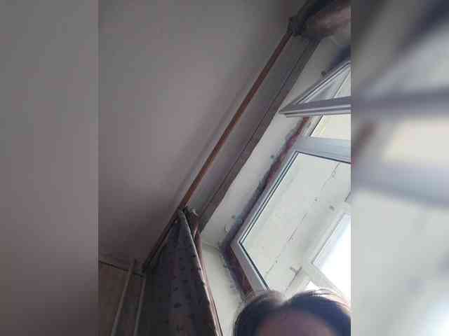 WilbderriesParapapapam webcam