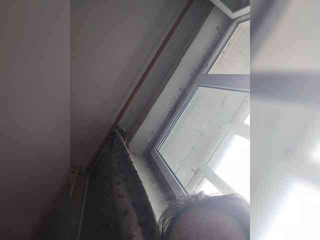 WilbderriesParapapapam webcam