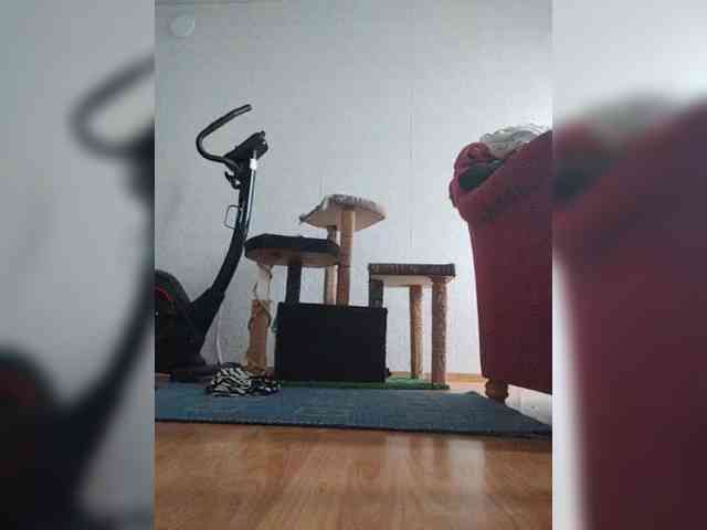 MySky23 webcam