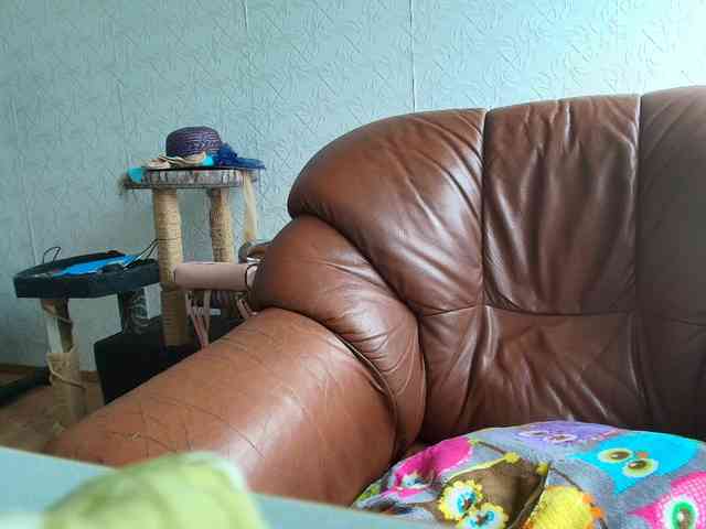 MySky23 webcam