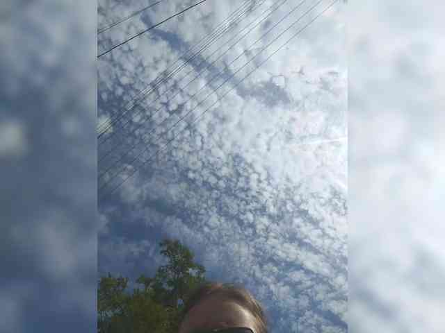 MySky23 MySky23