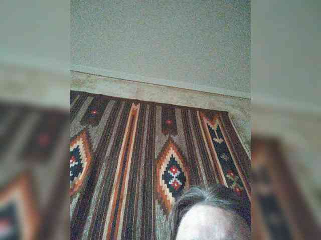 WilbderriesParapapapam webcam