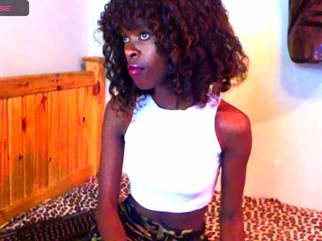 Natussi's BongaCams show and profile