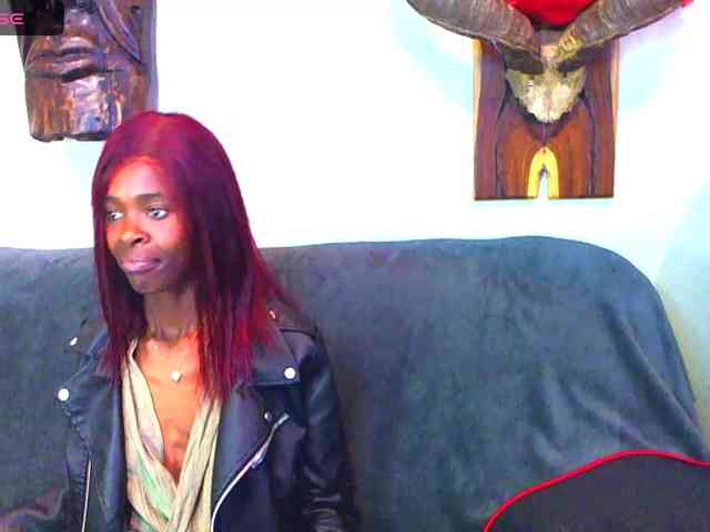 Natussi webcam