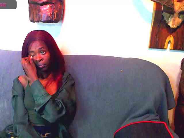 Natussi webcam