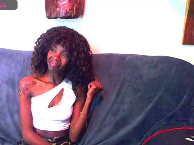 Natussi webcam