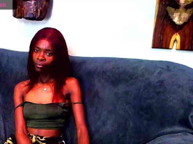 Natussi webcam