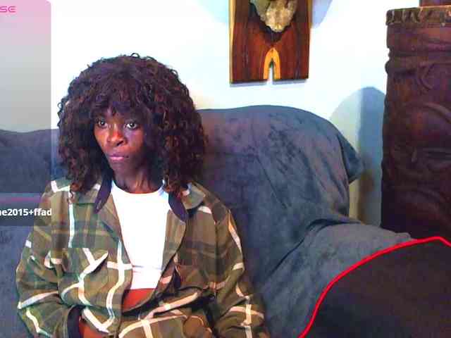 Natussi webcam