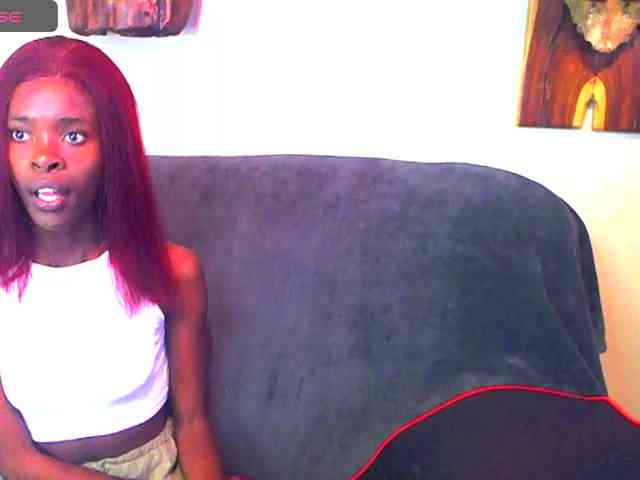 Natussi webcam