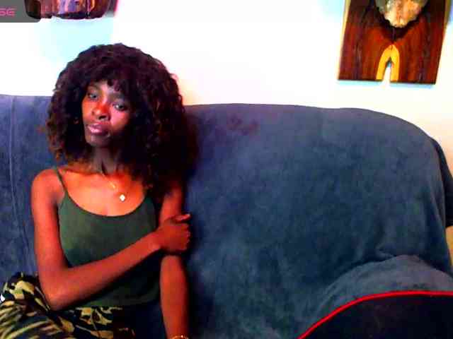 Natussi webcam