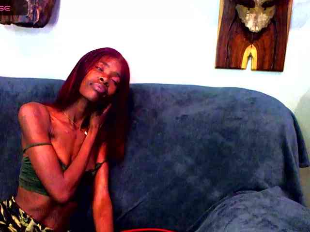 Natussi webcam