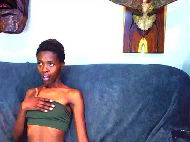 Model: Natussi