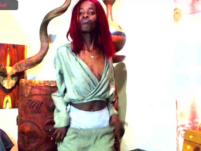 Natussi webcam