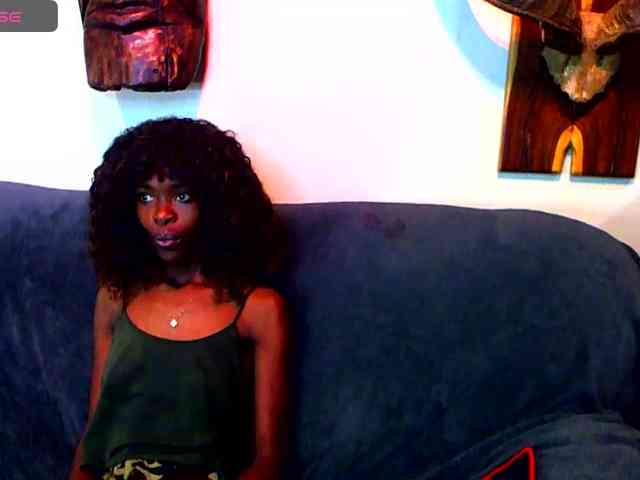 Natussi webcam