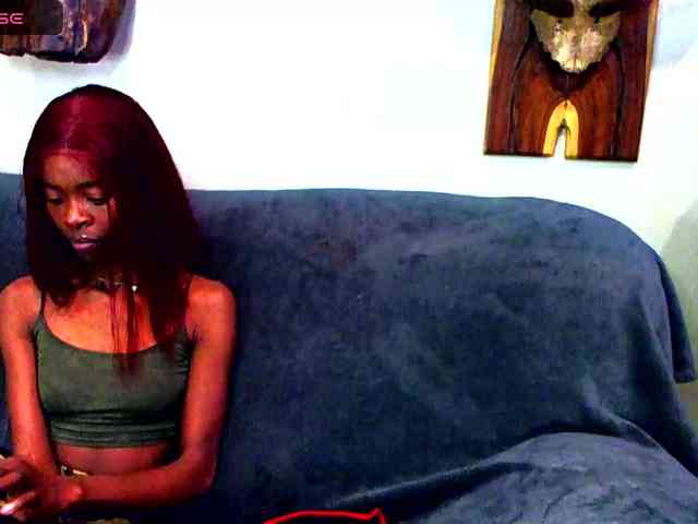 Natussi webcam