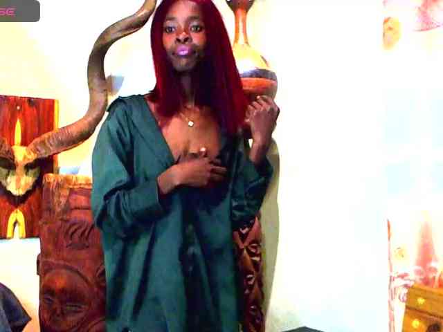 Natussi webcam