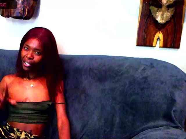 Natussi webcam