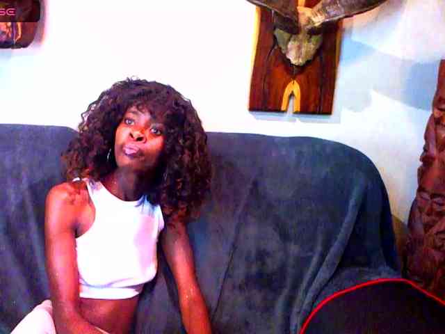 Natussi webcam