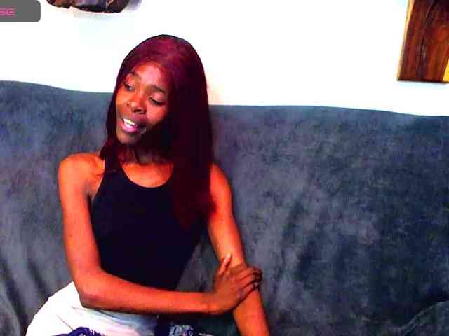 Natussi webcam