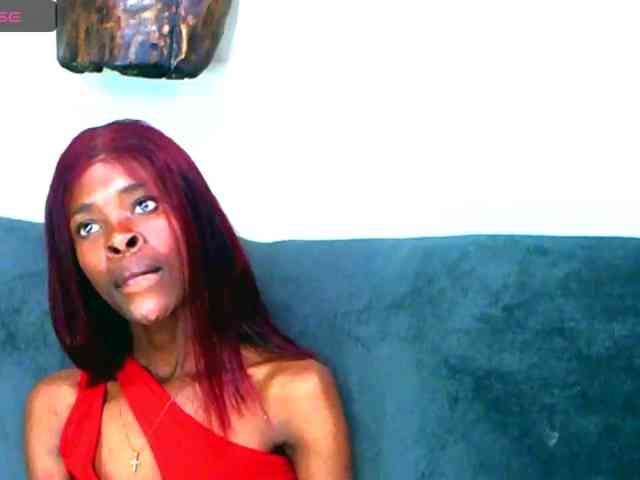Natussi webcam