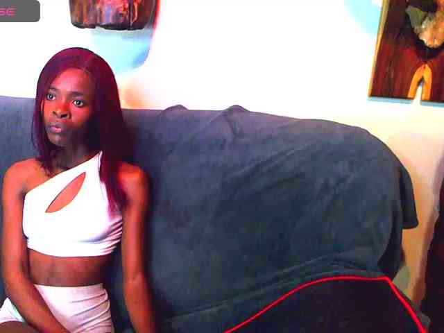 Natussi webcam