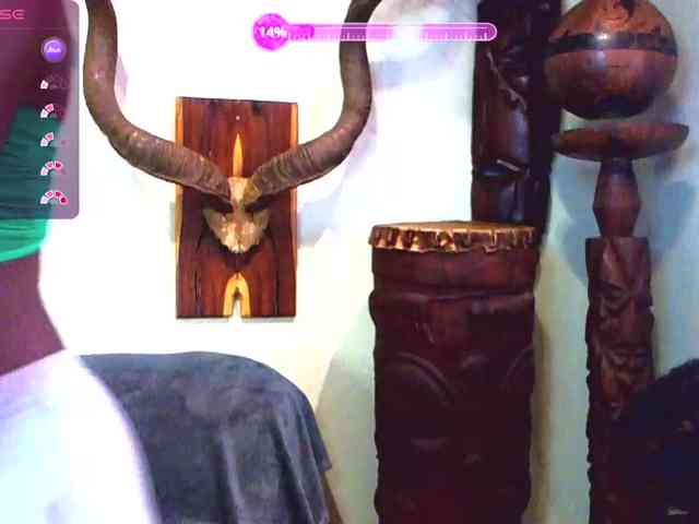 Natussi webcam