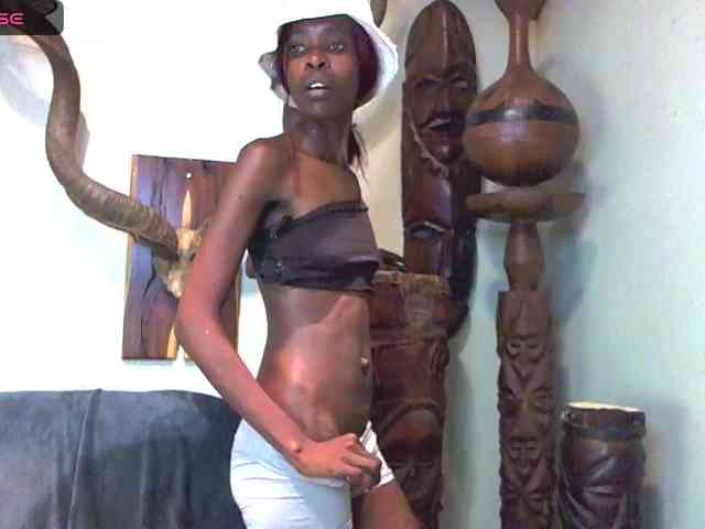 Model: Natussi