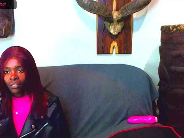 Natussi webcam
