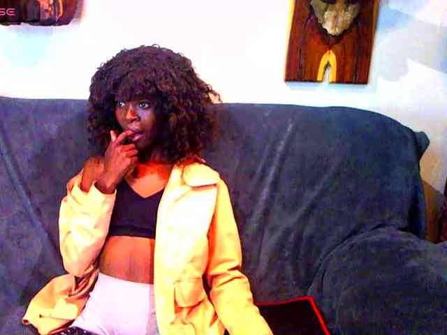 Model: Natussi