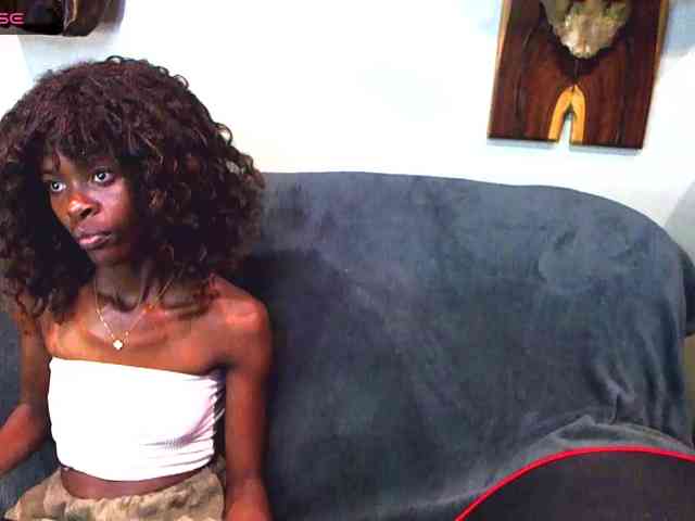 Model: Natussi