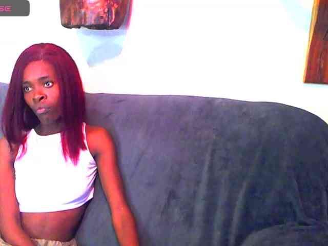 Natussi webcam
