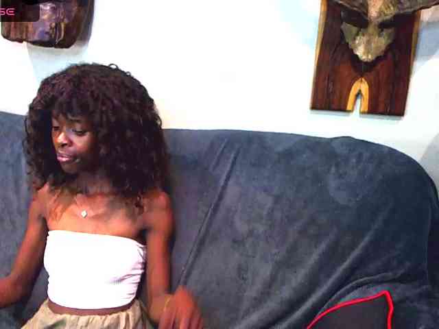 Natussi webcam