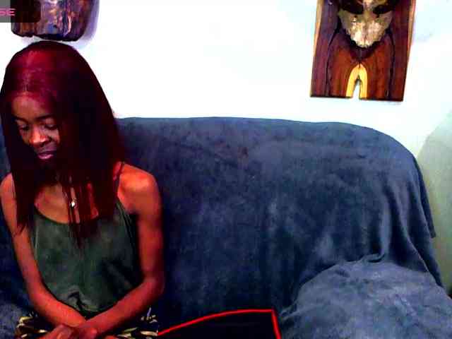 Natussi webcam