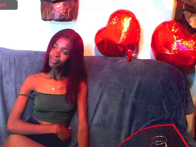 Natussi webcam