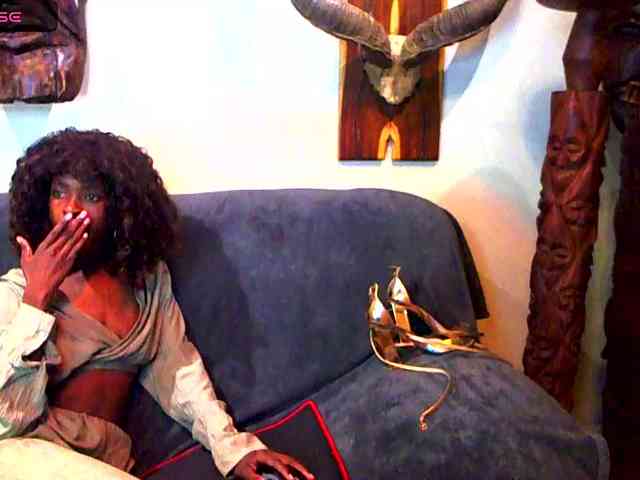 Natussi webcam