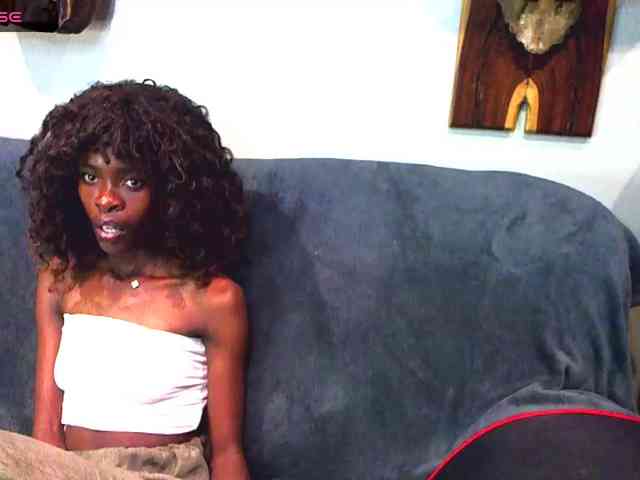 Model: Natussi