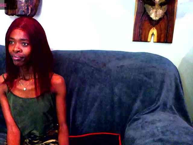 Natussi webcam