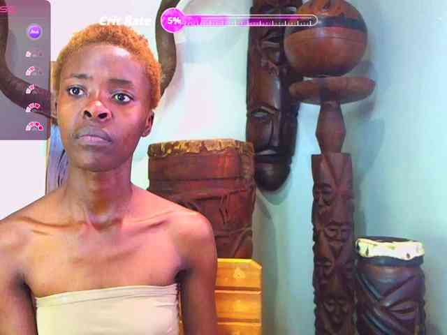 Natussi webcam