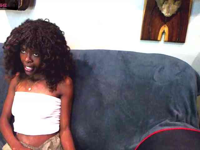 Model: Natussi