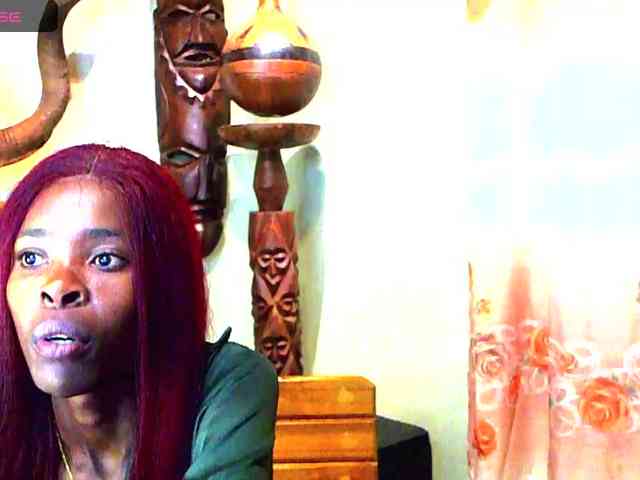 Natussi webcam